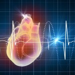 Virtual image of human heart with cardiogram