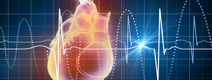 Virtual image of human heart with cardiogram