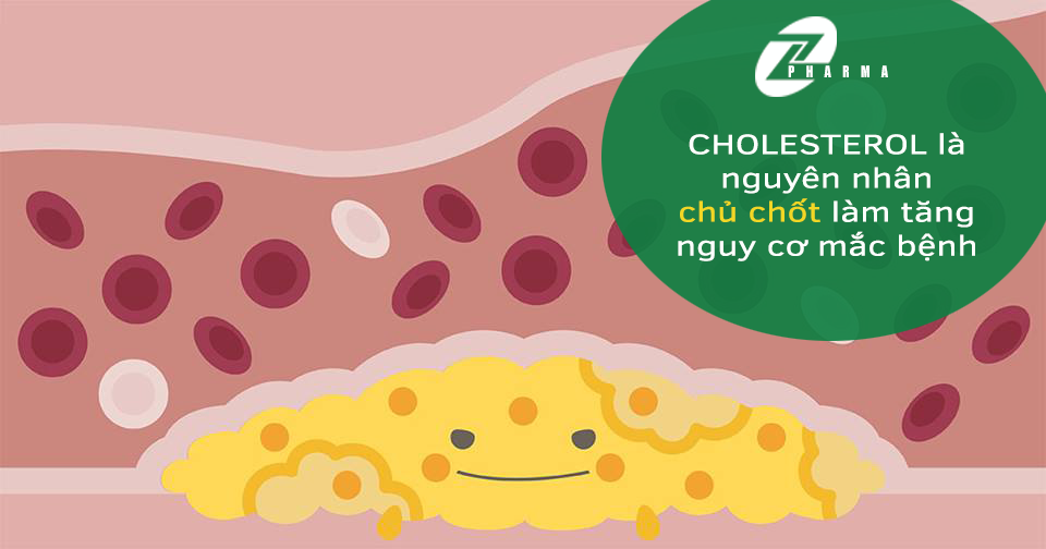 cholesterol-gay-ra-benh-tim-mach-nhu-the-nao-2