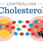 dieu-hoa-cholesterol